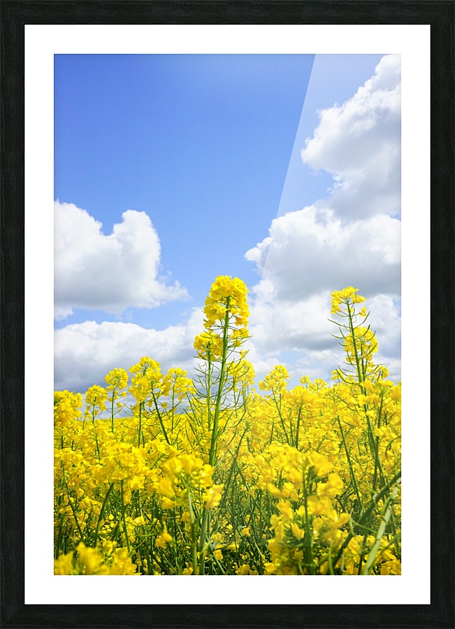 landscape nature Picture Frame print