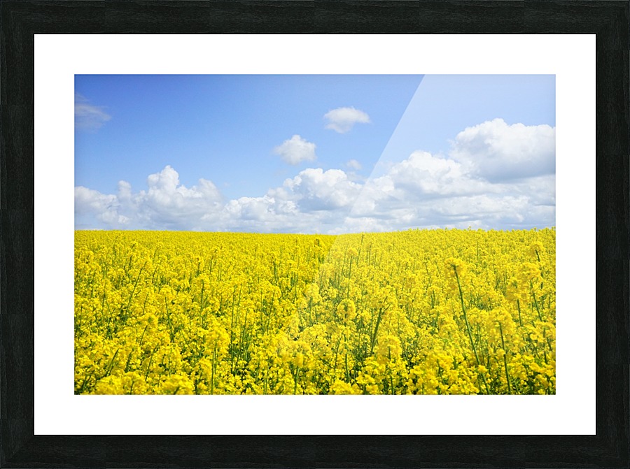 landscape nature2 Picture Frame print