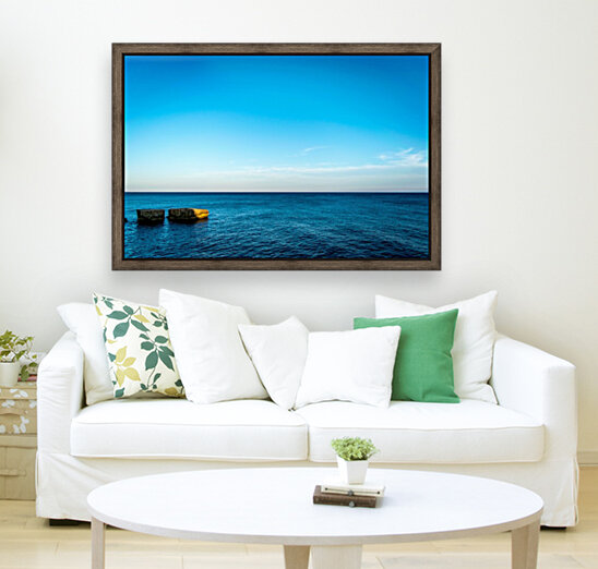 nature ocean Reproduction