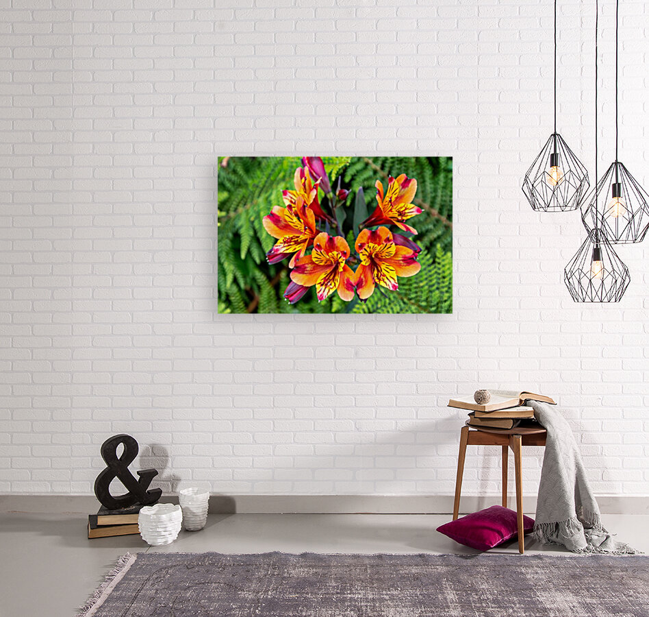 flowers nature Reproduction