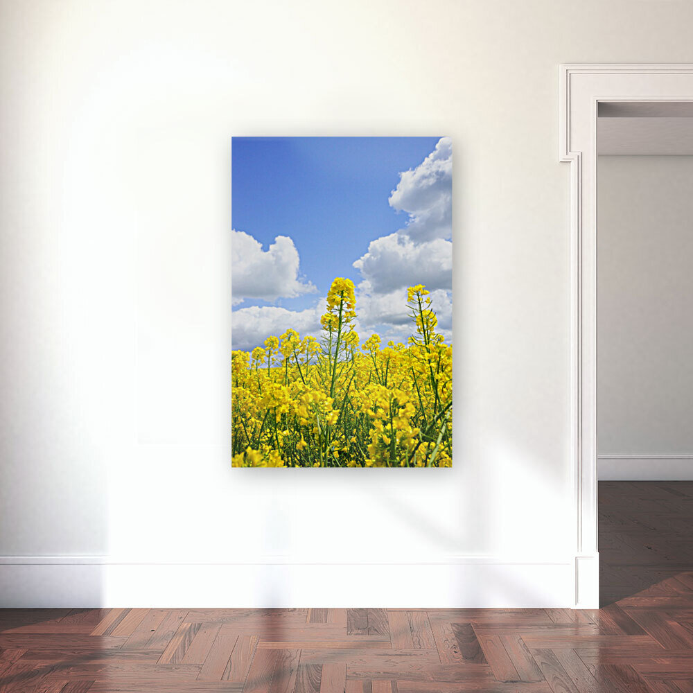 landscape nature Reproduction