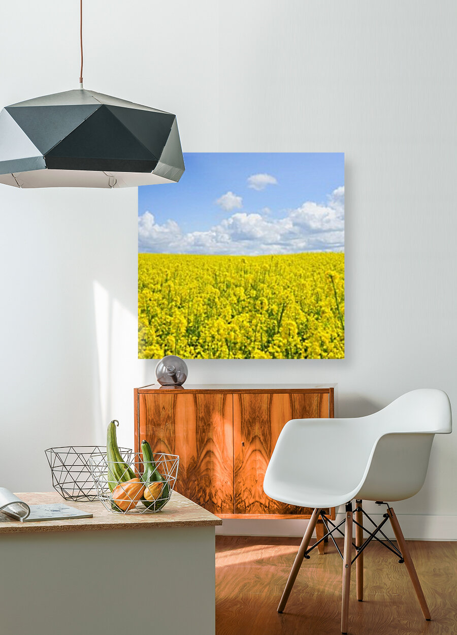 landscape nature2 Reproduction