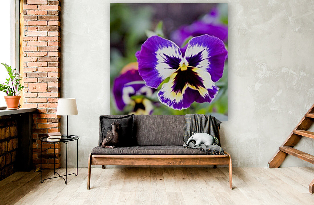 nature outdoor Reproduction