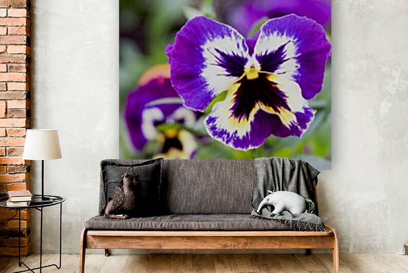 nature outdoor Reproduction