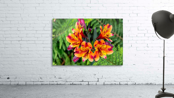 flowers nature Wall Preview