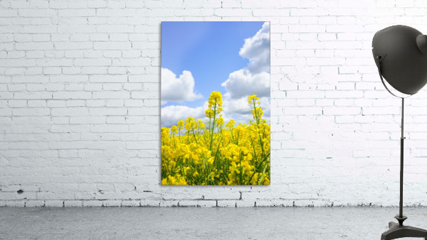 landscape nature Wall Preview