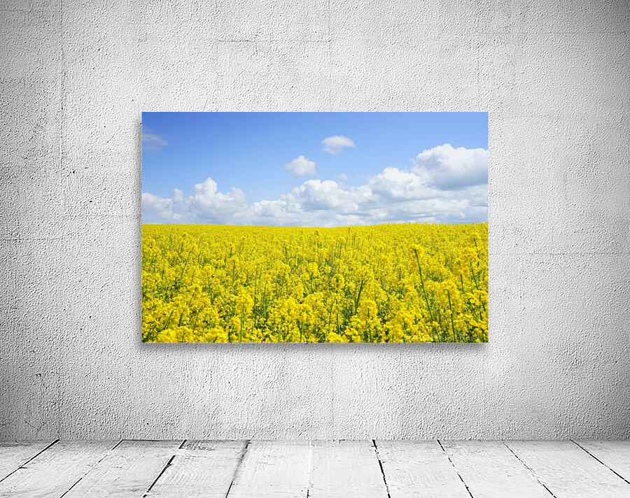landscape nature2 Wall Preview