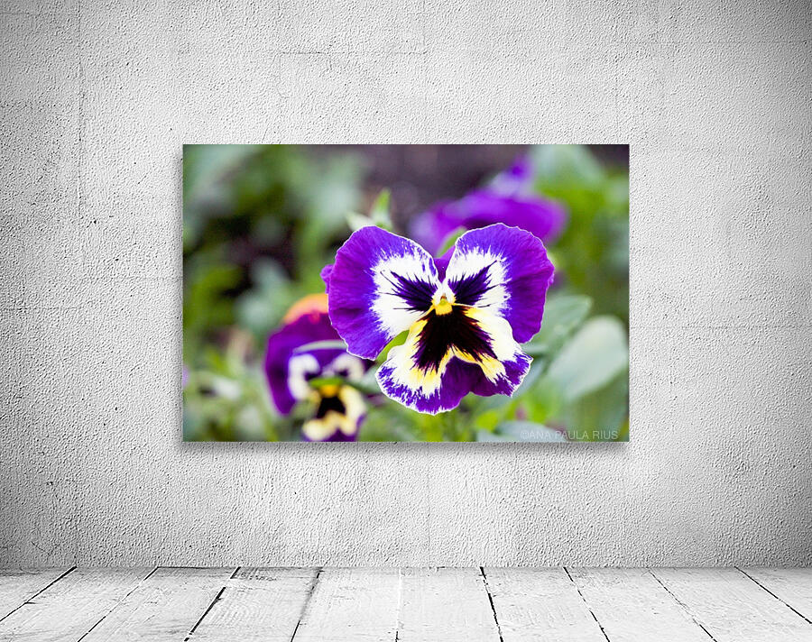 nature outdoor Wall Preview
