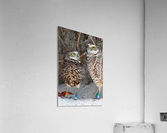 prent and child burrowing owls 0729 Acrylic Print