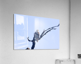 eagle looking left 0615 Acrylic Print