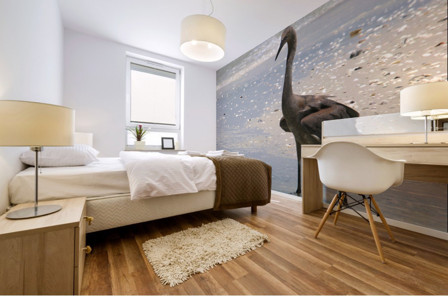 red egret angled 9287 Mural print