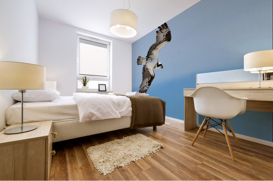 osprey angled 4485 Mural print