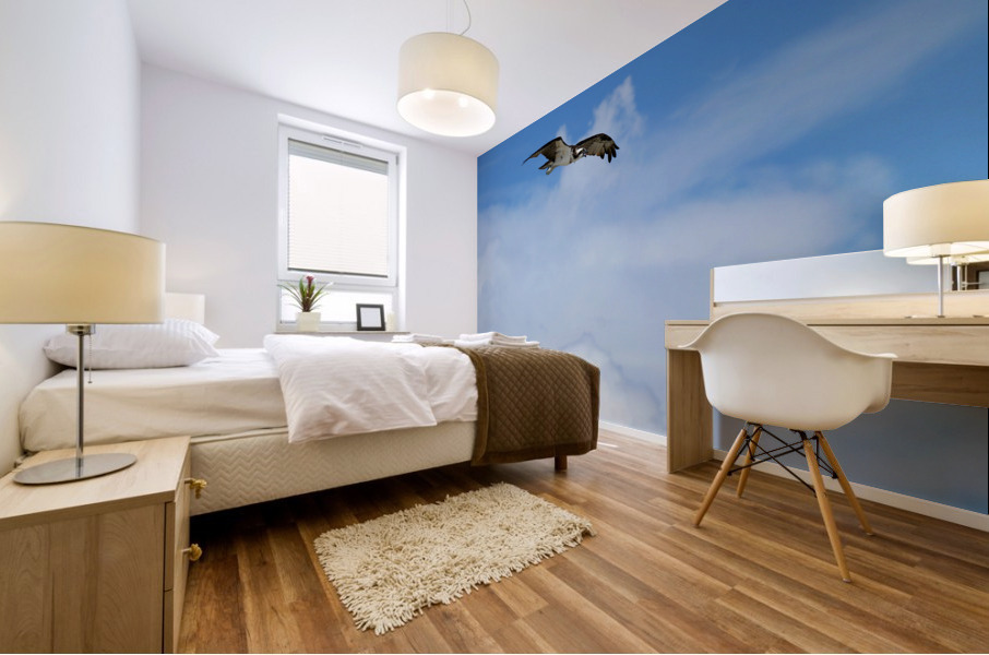osprey above clouds 4500 Mural print