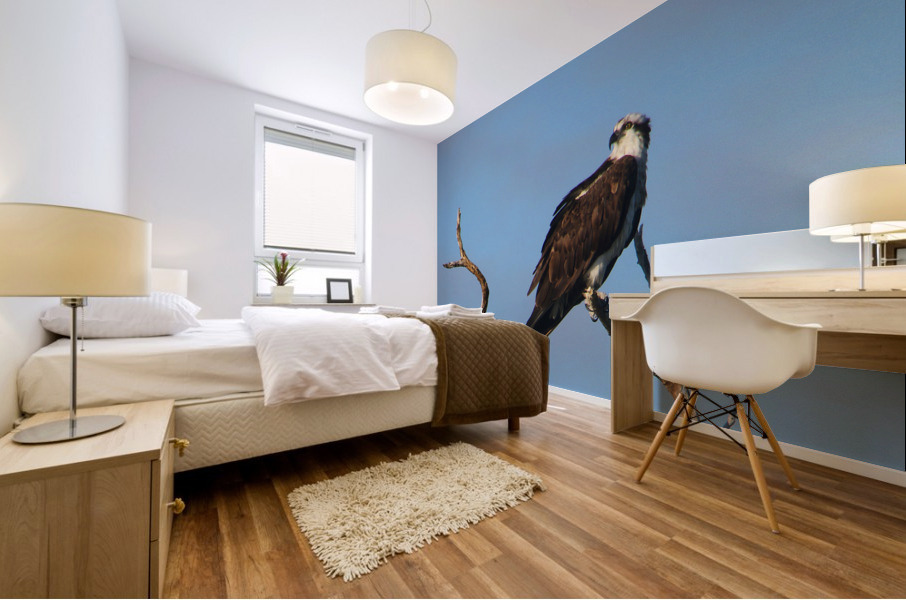 osprey treetop 8757 Mural print