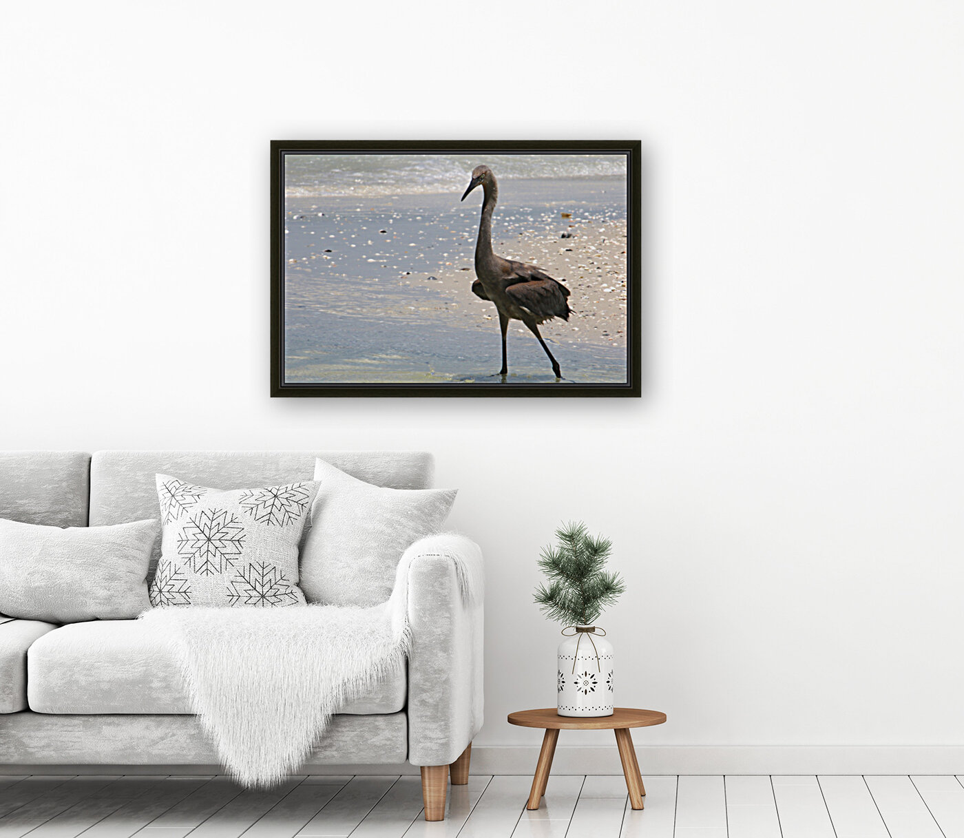red egret angled 9287 Reproduction