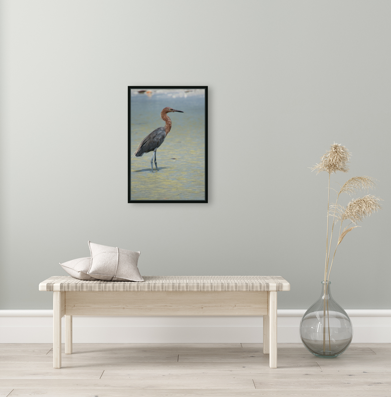 reddish egret profile right 3213 Reproduction