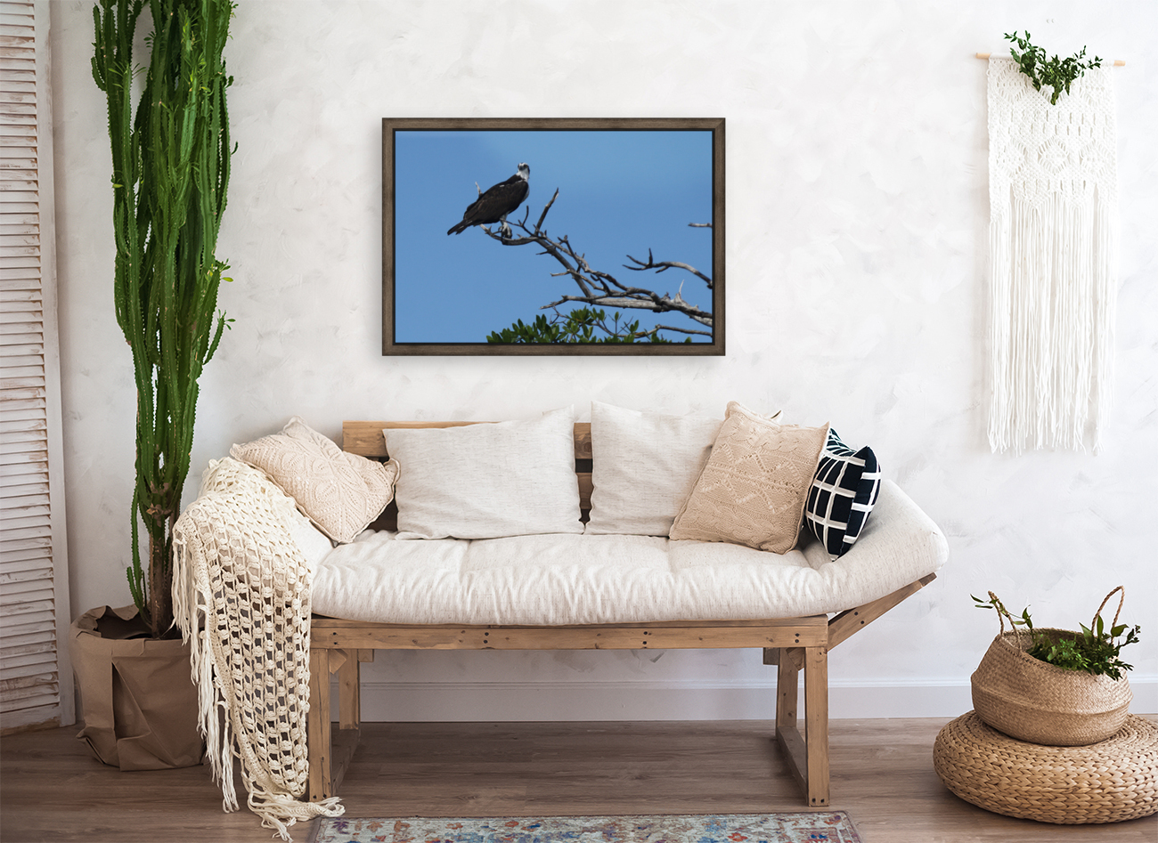 osprey in tree 7521 Reproduction