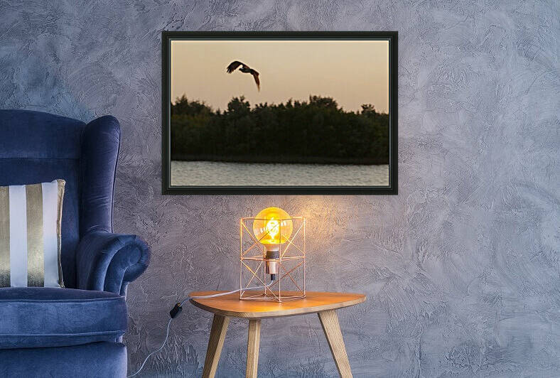 osprey in flight 9155 by Dan Sheridan Photography