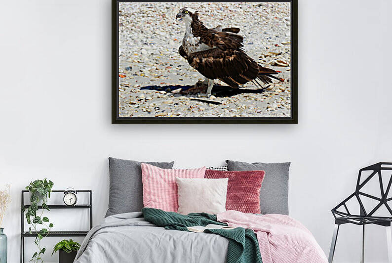 osprey on beach fish at talons 4463 by Dan Sheridan Photography