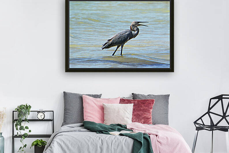 great blue heron beak open in water 9303 by Dan Sheridan Photography