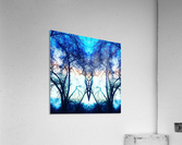 Stranger Acrylic Print