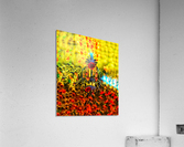 Queen Acrylic Print