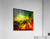 Romantic evening Acrylic Print