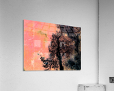 Magic Acrylic Print