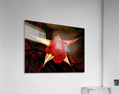 ROSE Acrylic Print