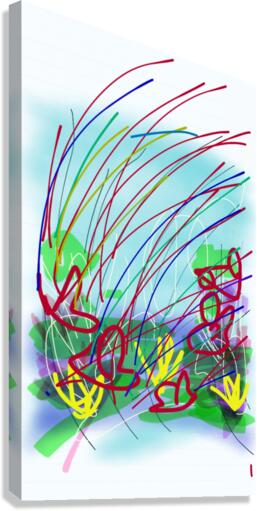 My feelings Canvas Print