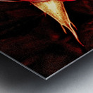 ROSE Metal print