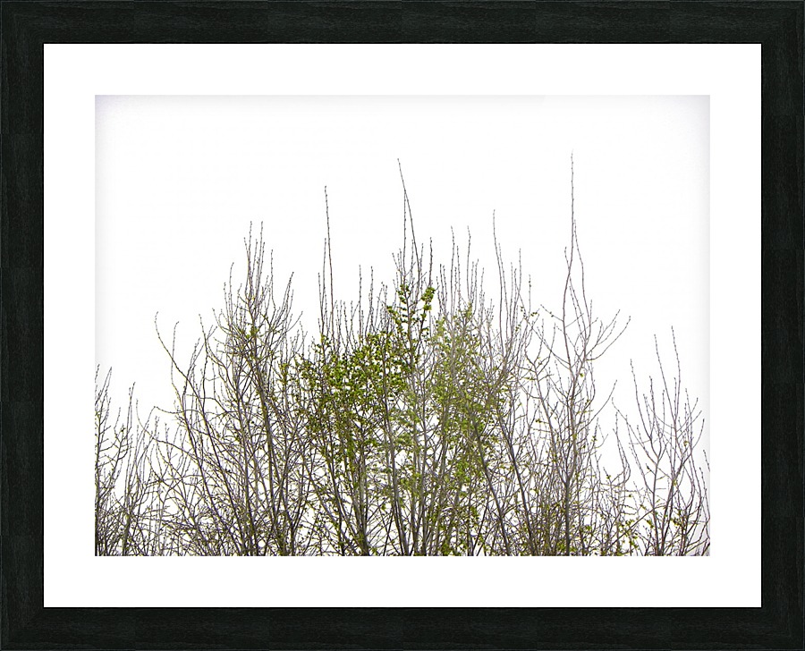 Love Picture Frame print