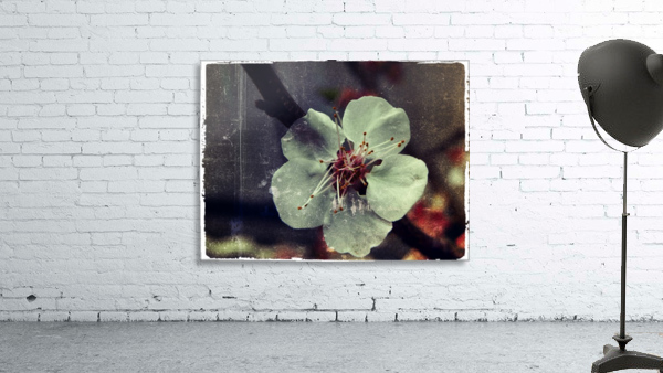 Flower Wall Preview