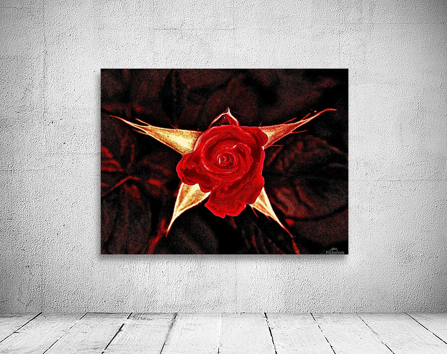 ROSE Wall Preview