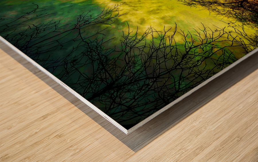 Romantic evening Wood print