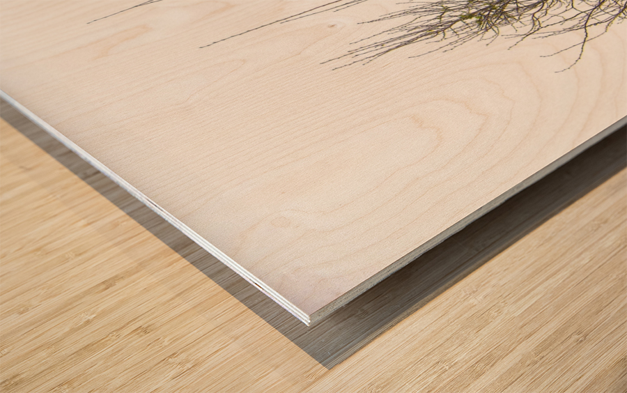 Love Wood print