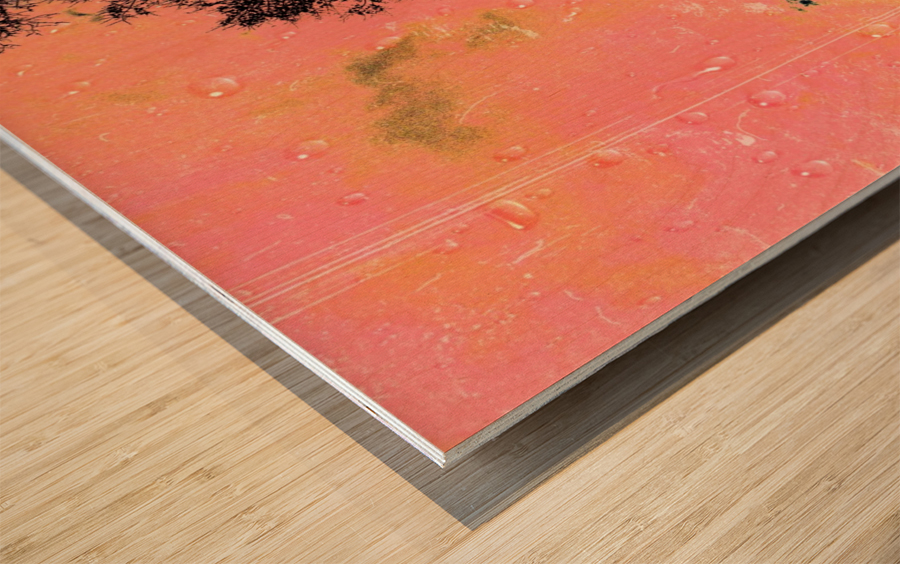 Magic Wood print