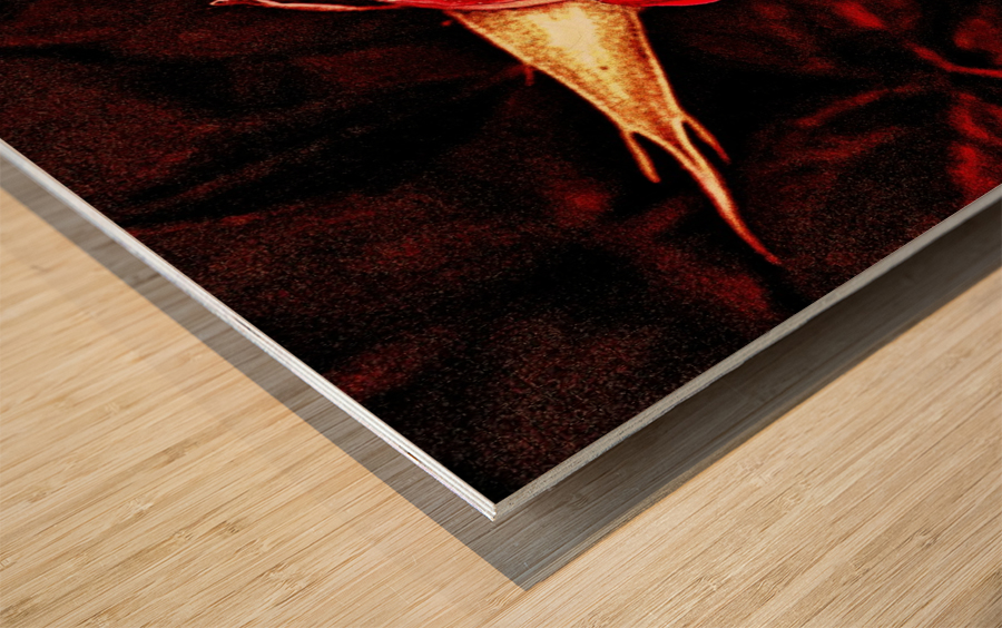 ROSE Wood print