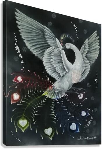 Rosellia dargent  Canvas Print
