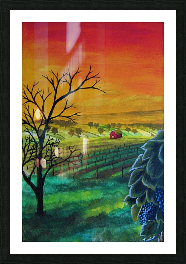 Champ de vignes  Picture Frame print