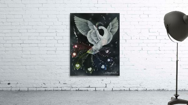 Rosellia dargent  Wall Preview