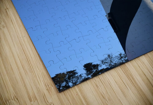 St Augustine Lighthouse Jo Jurkiewicz puzzle