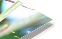 Be Like a Wildflower HD Metal print