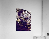 Gold Plated Acrylic Print