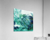 Roots 2 Acrylic Print