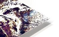 Gold Plated HD Metal print