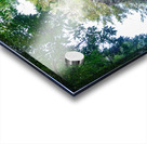 DSC07627 Pano Acrylic print