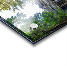DSC07649 Pano Acrylic print