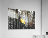 Withstanding Fall Acrylic Print