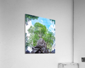 DSC07799 Pano Acrylic Print